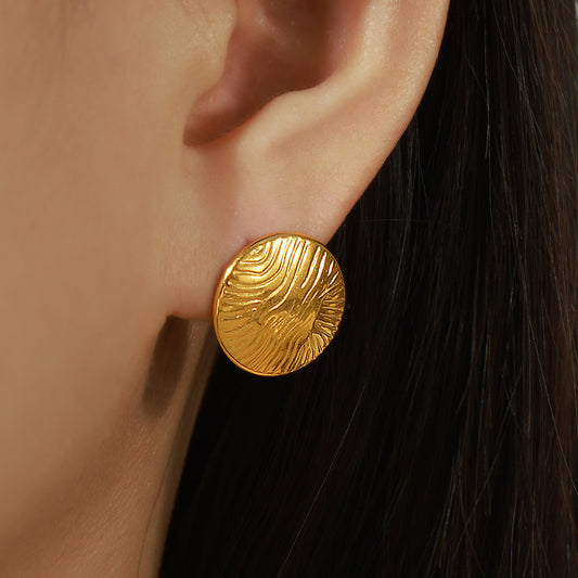 Fashion Special-interest Simple Design Titanium Steel Earrings